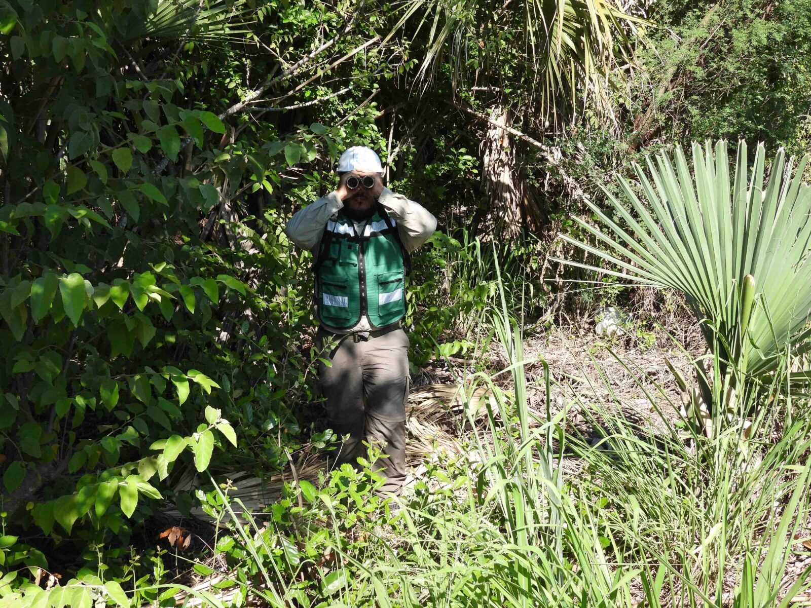 Yaucalli field work